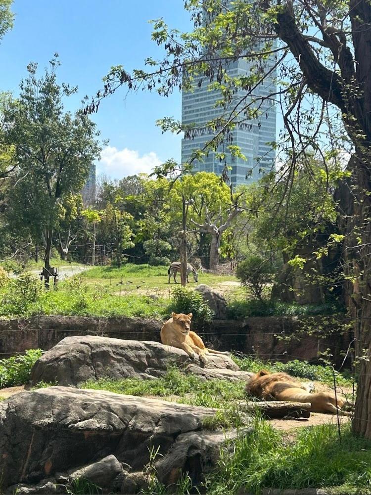 Reifa宿泊動物園前2 Ōsaka Eksteriør bilde